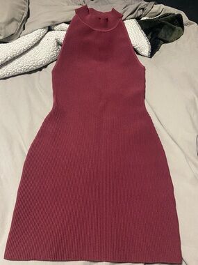 Babaton Sleeveless Ribbed High-Neck Mini Dress - Burgundy